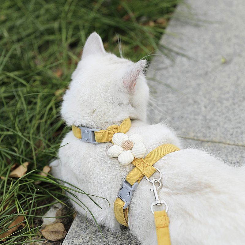 Pet Harness-yellow+1.8m Leash+Size S