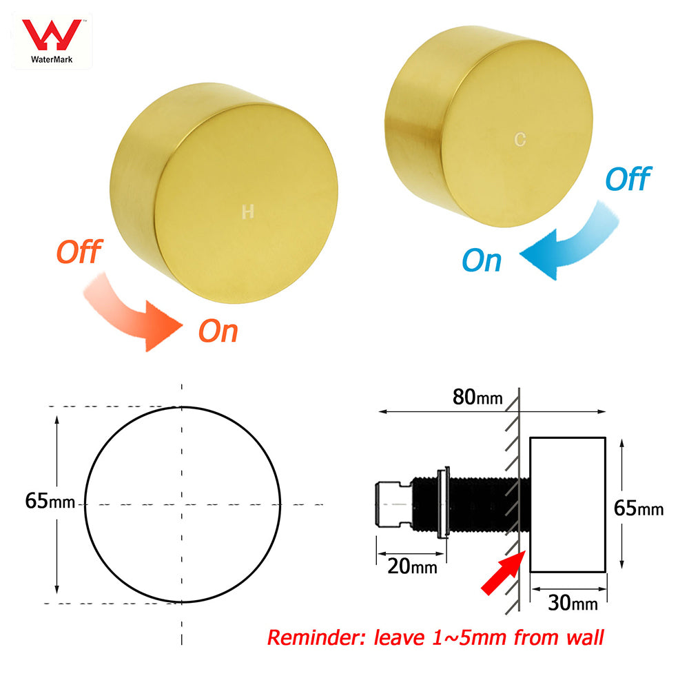 Shower Heads & Screens: WELS Brushed Gold Round Dual Shower Head Set Simple Hold Handheld Gooseneck Arm Twin Taps