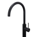 Shower Heads & Screens: Matt Black Indoor Bathtub Filler Free Standing Mixer Faucet Tap Spout Watermark