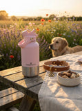 Dog Bowls, Feeders & Waterers: Pawstock 3-in-1 Insulated Dog Water Bottle with Dual Bowls  1L Stainless Steel Travel Bottle - Gray