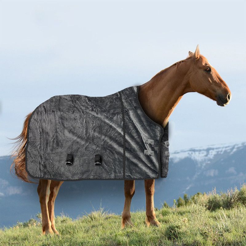 Insulated Winter Horse Blanket with Pest Repellent