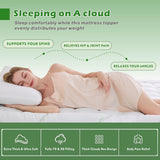 800GSM Mattress Topper Viscose Derived from Bamboo, Thick Pillowtop Fitted Mattress Cover with 45cm Deep Skirt - Machine Washable Hypoallergenic(Queen,,Green)