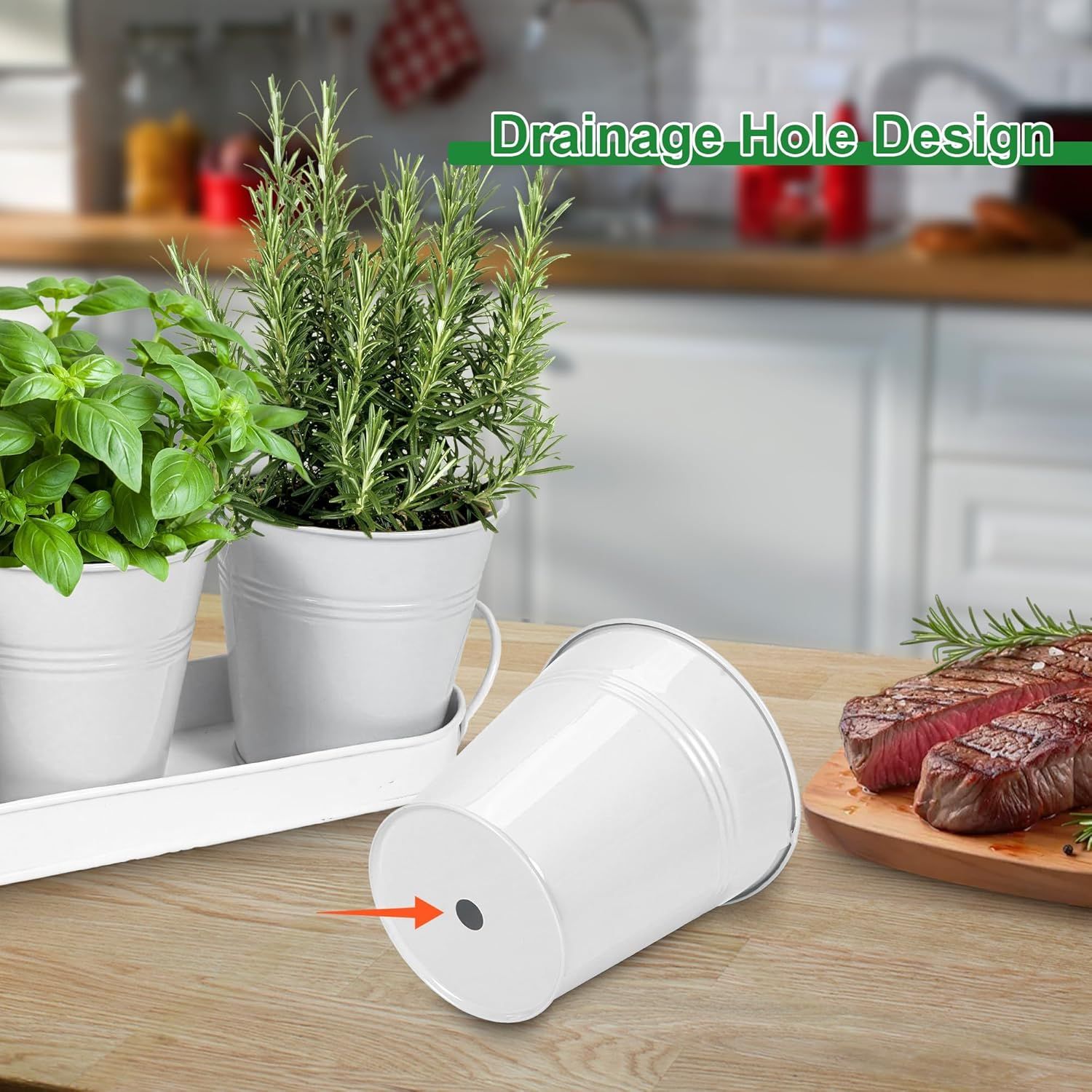 Herb Garden Planter Indoor Kit – 6 Metal Pots with 2 Trays for Windowsill & Kitchen Counter – Modern Decorative Indoor Planters for Herbs, Succulents & Small Plants, White