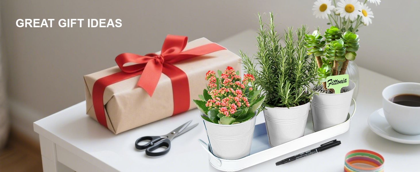 Herb Garden Planter Indoor Kit – 6 Metal Pots with 2 Trays for Windowsill & Kitchen Counter – Modern Decorative Indoor Planters for Herbs, Succulents & Small Plants, White