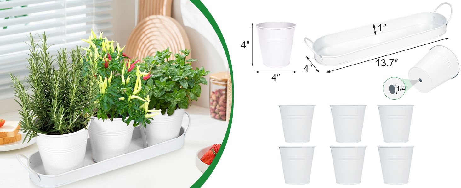 Herb Garden Planter Indoor Kit – 6 Metal Pots with 2 Trays for Windowsill & Kitchen Counter – Modern Decorative Indoor Planters for Herbs, Succulents & Small Plants, White