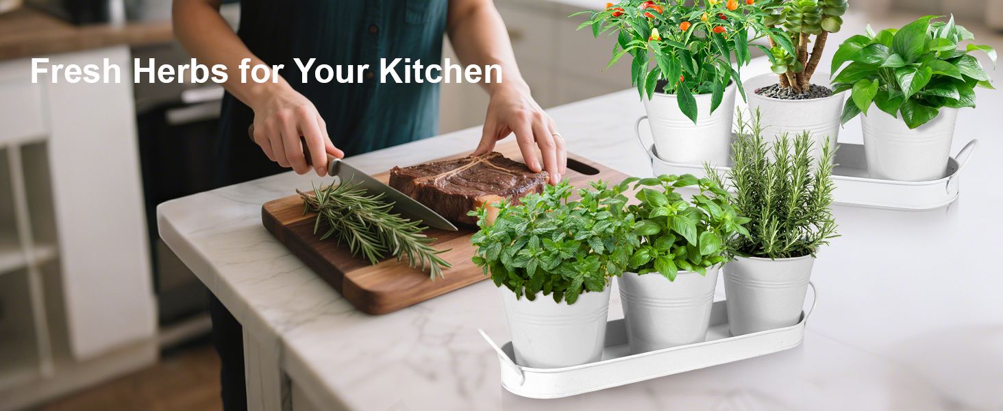 Herb Garden Planter Indoor Kit – 6 Metal Pots with 2 Trays for Windowsill & Kitchen Counter – Modern Decorative Indoor Planters for Herbs, Succulents & Small Plants, White