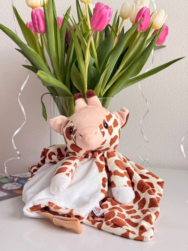 Aria the Giraffe