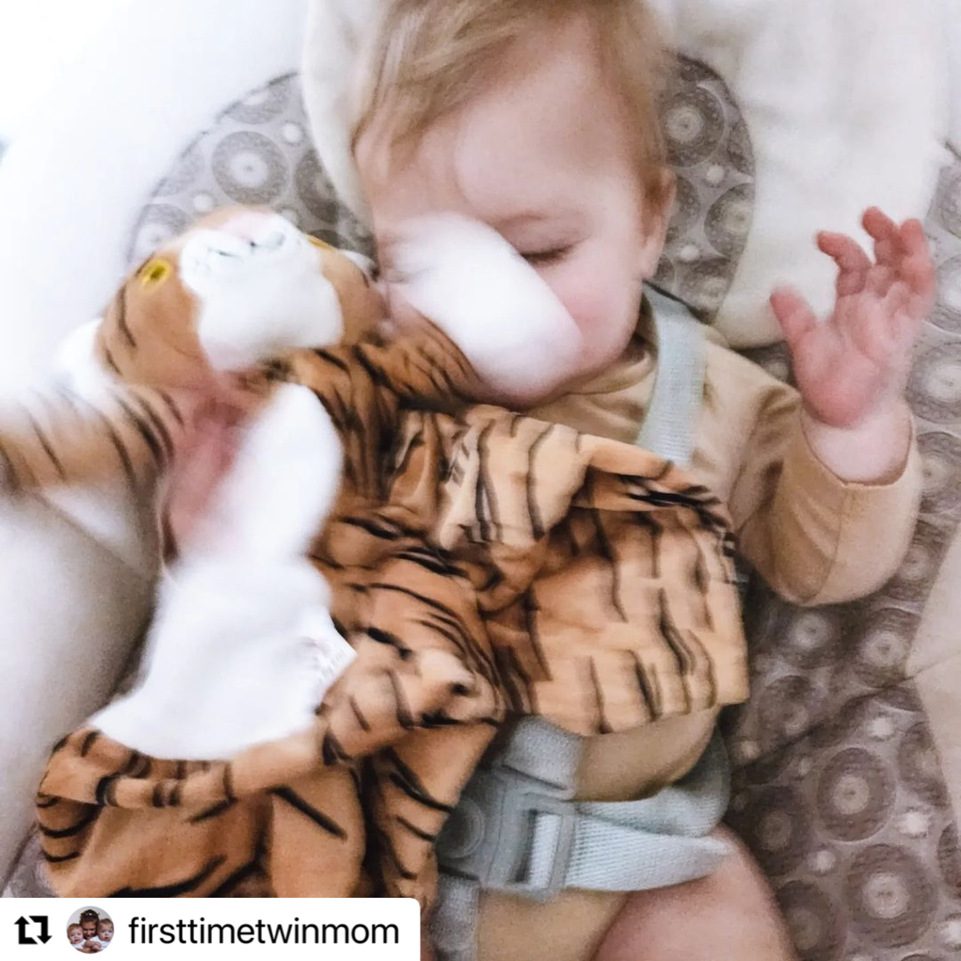 Indi the Tiger