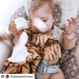 Indi the Tiger