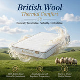 Audreamy Kaveno Kids Mattress Latex King Single