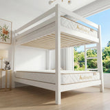 Audreamy Kaveno Kids Mattress Latex Single