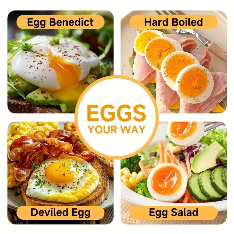 ✨ Stainless Steel Electric Egg Cooker | Clear Lid + 6-Egg Capacity | Timer Control for Soft/Medium/Hard Boiled, Steams Veggies & Dumplings, Perfect Breakfast Maker!