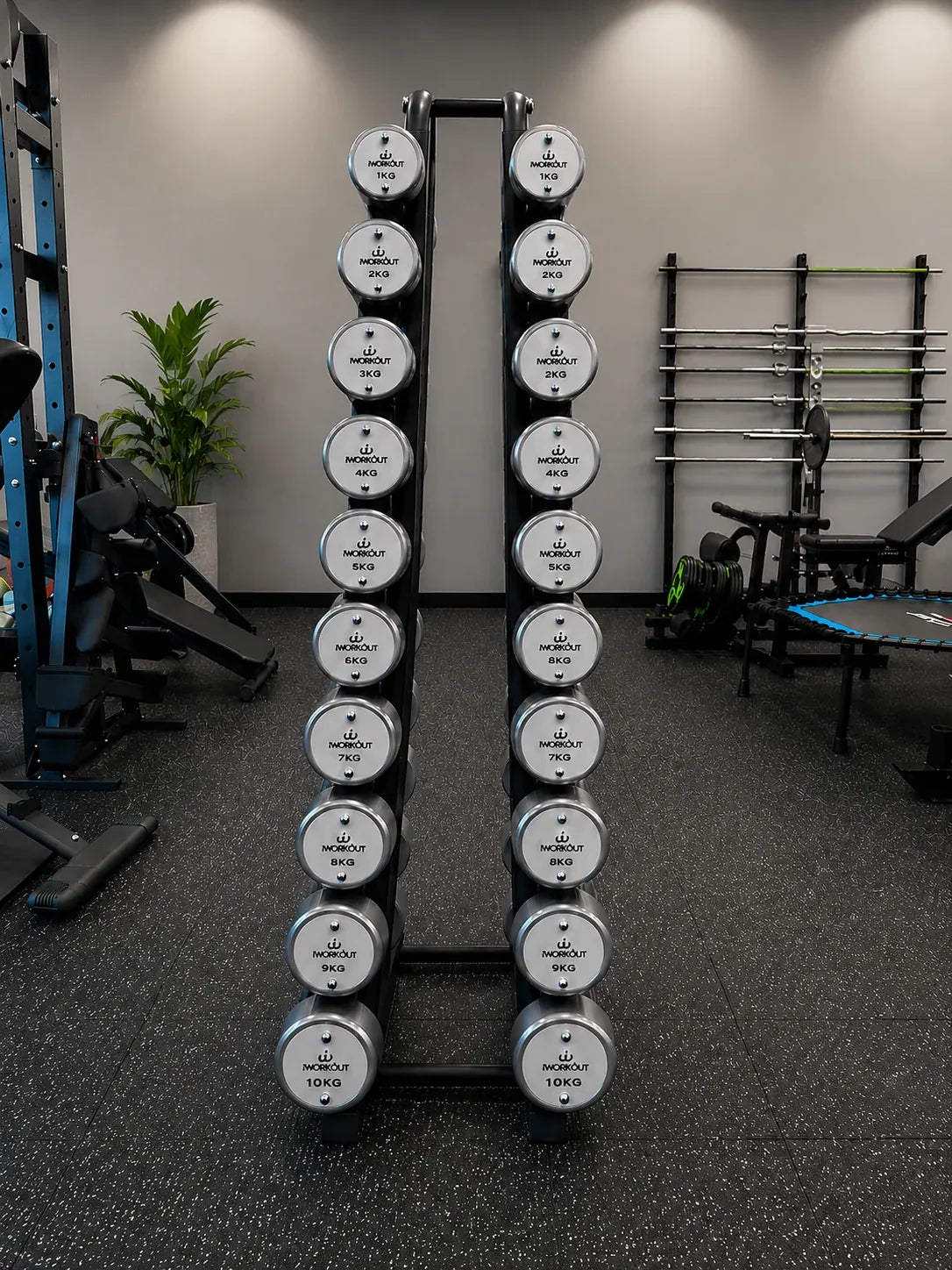 1-10KG Premium Round Chrome Dumbbell Set with Rack