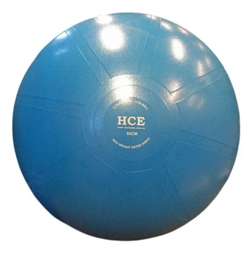 65CM Commercial Gym Exercise Fitness Swiss Ball + Pump