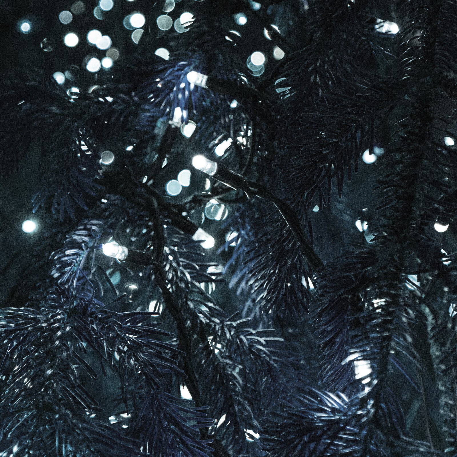 Lighting Accessories: Milano Decor Outdoor LED Plug In Fairy Lights - White - 200 Lights