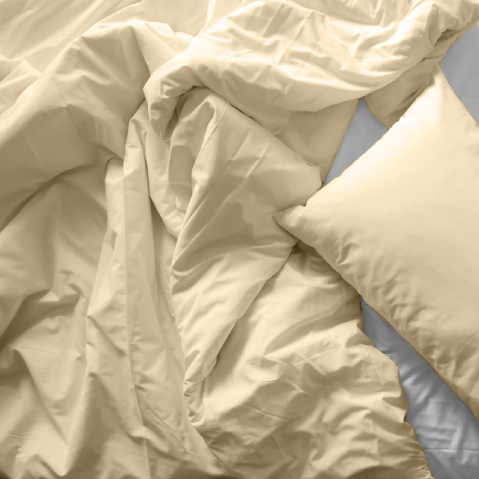 Duvet Covers: Royal Comfort Bamboo Blended Quilt Cover Set 1000TC Ultra Soft Luxury Bedding - Double - Ivory