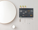 Makeup Organisation & Storage: Wall Mount Earring Jewelry Hanger Organizer Holder with 109 Holes and 19 Hooks (Black)