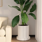 Pots, Planters & Accessories: CARLA HOME Rolling Plant Stand with 360° Wheels for Indoor Pots (26 cm)