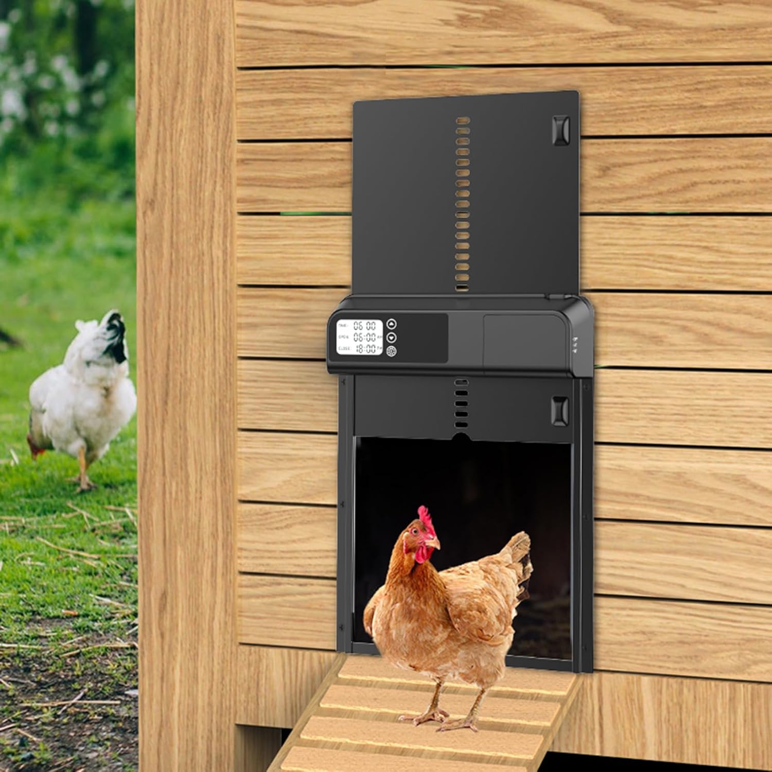 Electronic Door Locks: CARLA HOME Automatic Chicken Coop Door with Timer & LCD Screen, Anti-Pinch Safety, Easy Battery Operation & Weatherproof for Outdoor Coops