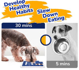 Dog Bowls, Feeders & Waterers: CARLA HOME Interactive Dog Puzzle Toy Slow Feeder Treat Dispenser for Dogs & Cats