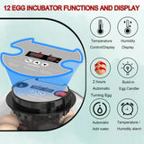 Humidifiers: CARLA HOME 12 Egg Incubator with Automatic Turning, LED Display, Humidity & Temperature Control, Auto Water System & Built-in Egg Candler for Chicken, Duck, Quail, Goose