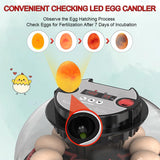 Humidifiers: CARLA HOME 12 Egg Incubator with Automatic Turning, LED Display, Humidity & Temperature Control, Auto Water System & Built-in Egg Candler for Chicken, Duck, Quail, Goose