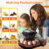 Humidifiers: CARLA HOME 12 Egg Incubator with Automatic Turning, LED Display, Humidity & Temperature Control, Auto Water System & Built-in Egg Candler for Chicken, Duck, Quail, Goose