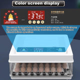Humidifiers: CARLA HOME 70 Egg Incubator with Automatic Turning, LED Display, Humidity & Temperature Control, Auto Water System & Built-in Egg Candler for Chicken, Duck, Quail, Goose