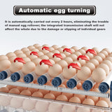 Humidifiers: CARLA HOME 128 Egg Incubator with Automatic Turning, LED Display, Humidity & Temperature Control, Auto Water System & Built-in Egg Candler for Chicken, Duck, Quail, Goose