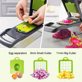 Pots, Planters & Accessories: CARLA HOME Multifunctional Mandoline Vegetable Chopper 16-in-1 with Stainless Steel Blades, Storage Container & Hand Guard for Fruits & Veggies