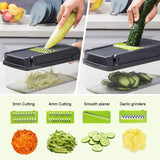 Pots, Planters & Accessories: CARLA HOME Multifunctional Mandoline Vegetable Chopper 16-in-1 with Stainless Steel Blades, Storage Container & Hand Guard for Fruits & Veggies