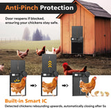 Coop & Hutch Accessories: CARLA HOME Solar Automatic Chicken Coop Door with Timer, Light Sensor, Remote Control, Anti-Pinch, LED Screen & USB Charging
