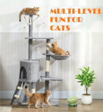 Cat Scratching Posts: CARLA HOME 134cm Cat Tree for Indoor Cats with Hammock, Plush Perch & Sisal Scratching Posts for Kittens & Adult Cats (Light Grey)