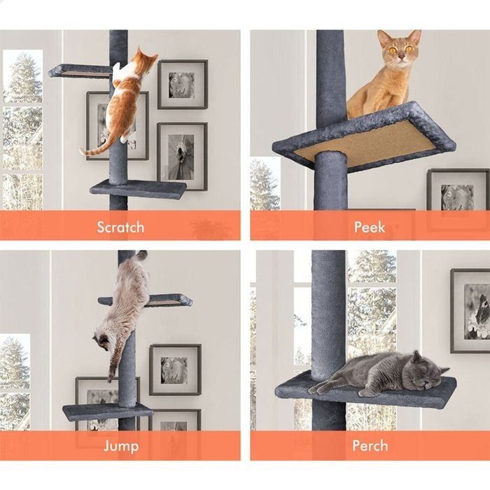 Flooring: CARLA HOME Floor to Ceiling Cat Tree Tower  with Adjustable Height 230-286cm for Indoor Cats (Grey)