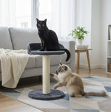 Cat Scratching Posts: CARLA HOME Cat Tree Tower for Indoor Cats with Plush Perch, Sisal Scratching Post & Hanging Ball Toy for Kittens or Small Breeds
