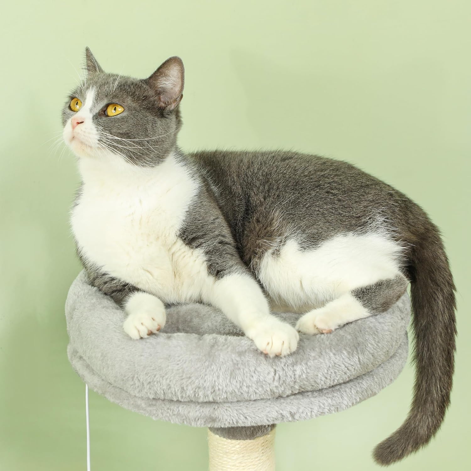 Cat Scratching Posts: CARLA HOME Large Cat Tree Tower for Indoor Cats with Plush Perch, Cat Condo, Natural Sisal Scratching Posts, Hanging Ball & Paw Scratcher