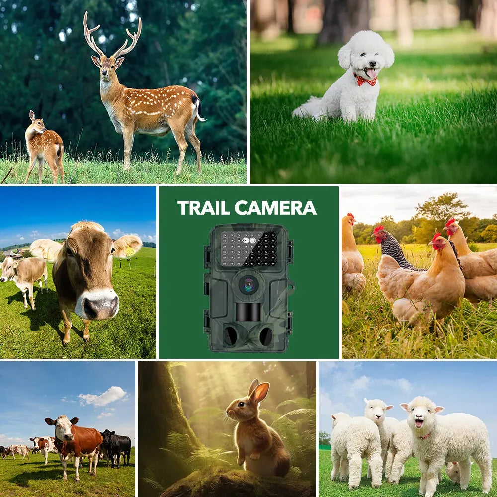 60MP 4K Green Trail Hunting Camera with WIFI Night Vision and IP66 Waterproof