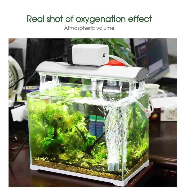 Black Aquarium Oxygen Pump with Dual Outlets for Fish Tank and Pond, 2x90L/h
