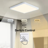 Coloured Lights: Smart LED Ceiling Lamp: App & Voice Control