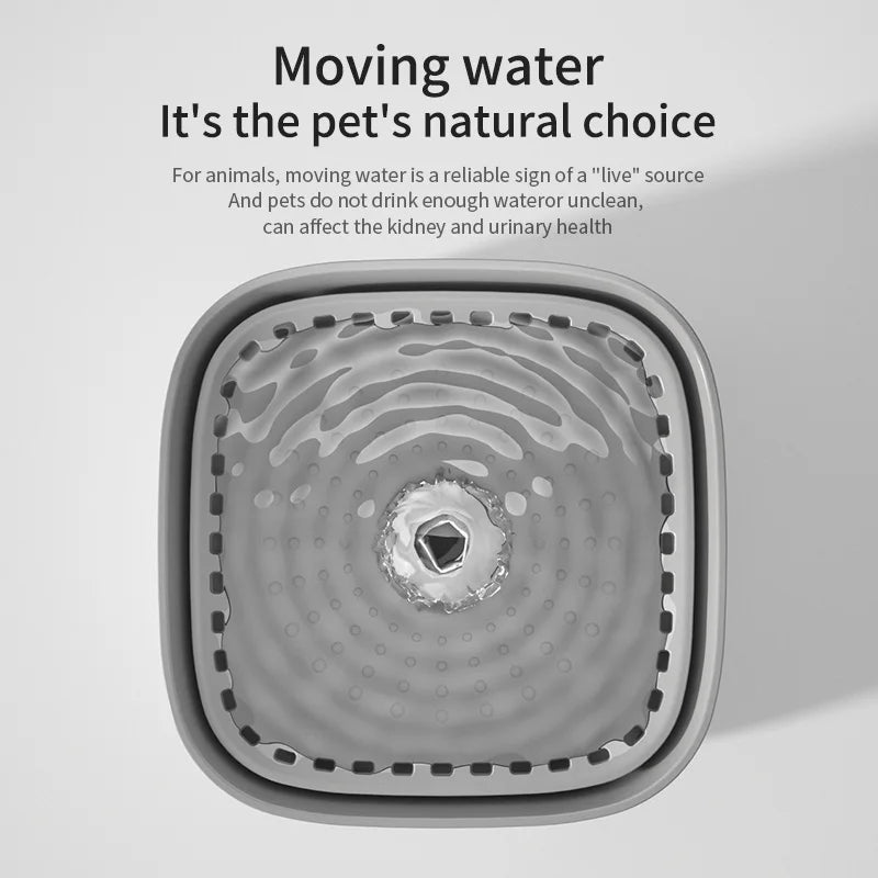 Shower Accessories: 3L Cat Water Fountain Large Filter USB