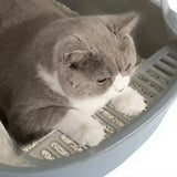 Cat Litter: High Side Cat Litter Box with Scoop