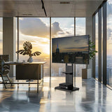 Camera Accessories: Heavy Duty Mobile TV Stand with Wheels