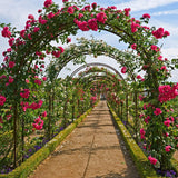 Garden Ornaments: Metal Garden Arch Trellis Iron Plant Support Outdoor Climbing
