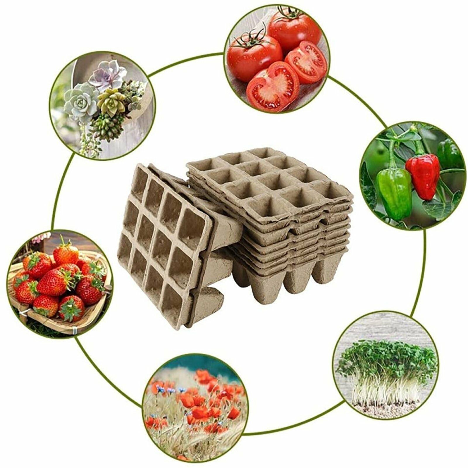 Gardening Tools: 10pcs Biodegradable Seedling Trays 12-Hole Garden Starter