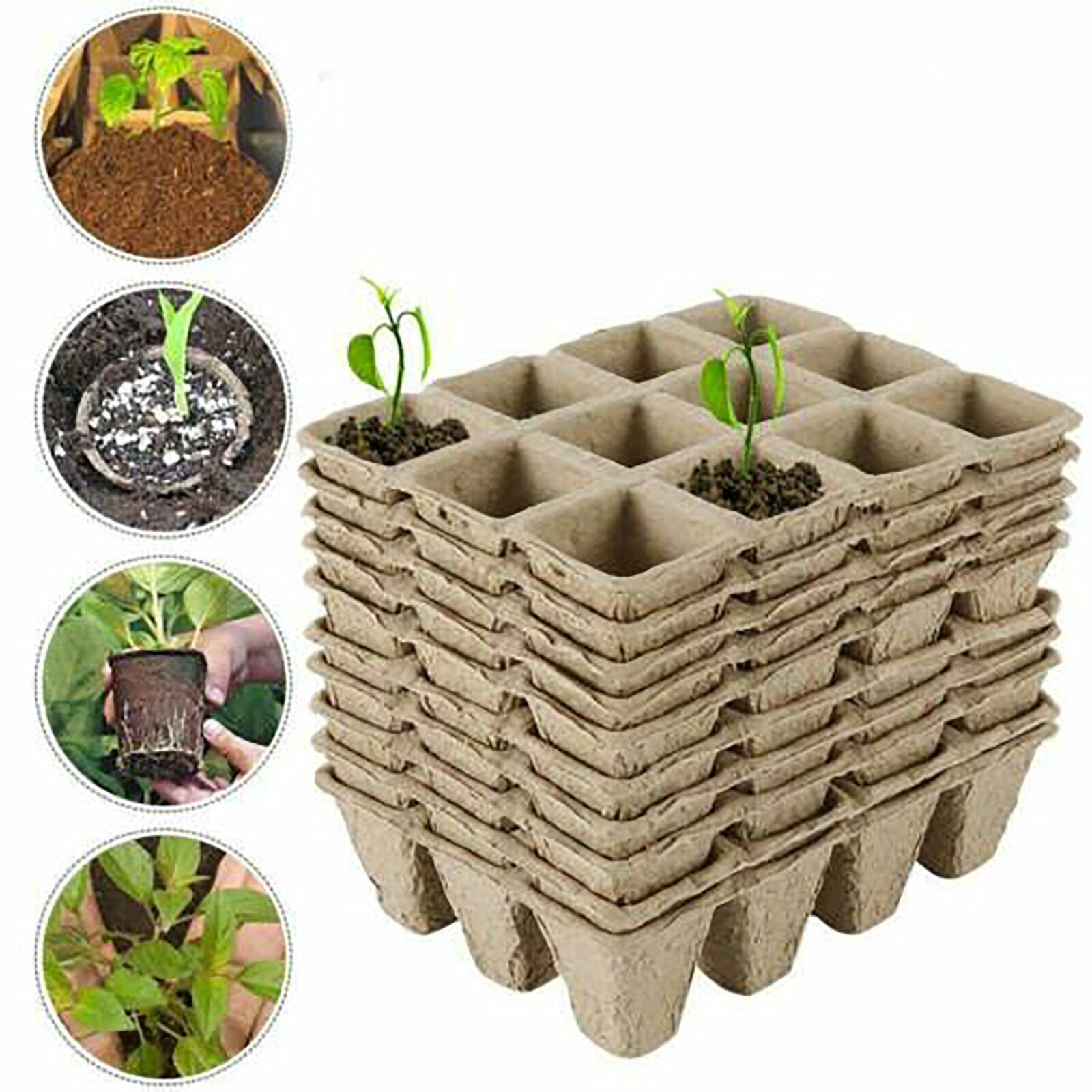 Gardening Tools: 10pcs Biodegradable Seedling Trays 12-Hole Garden Starter