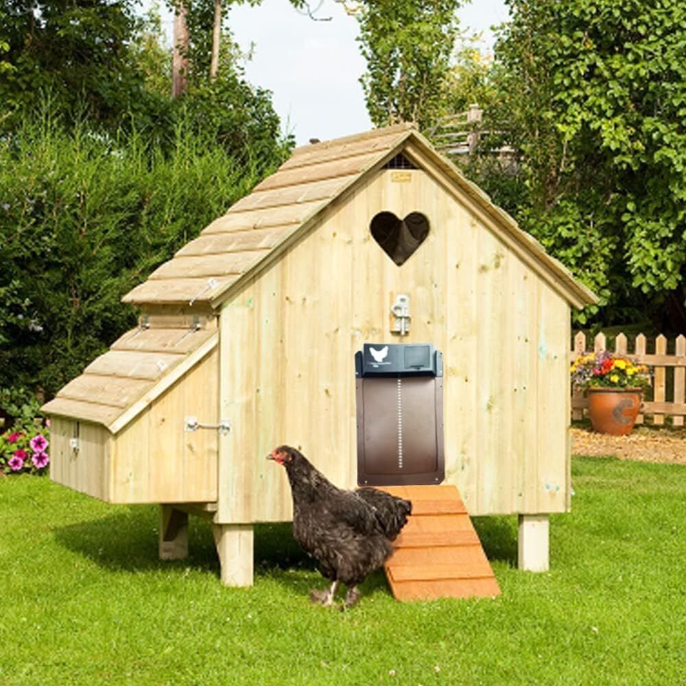 Gardening Tools: Automatic Chicken Coop Door Opener Solar Timer Sensor LCD AU