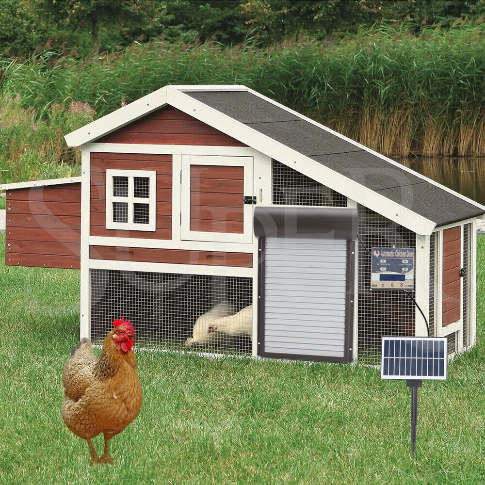 Fence & Gate Accessories: Automatic Chicken Coop Door Opener with Gate Light Sensor Remote