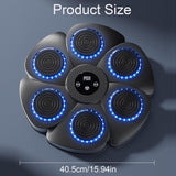 Boxing & Martial Arts: Wall Mount Boxing Machine Bluetooth Black Punch Pad + Gloves