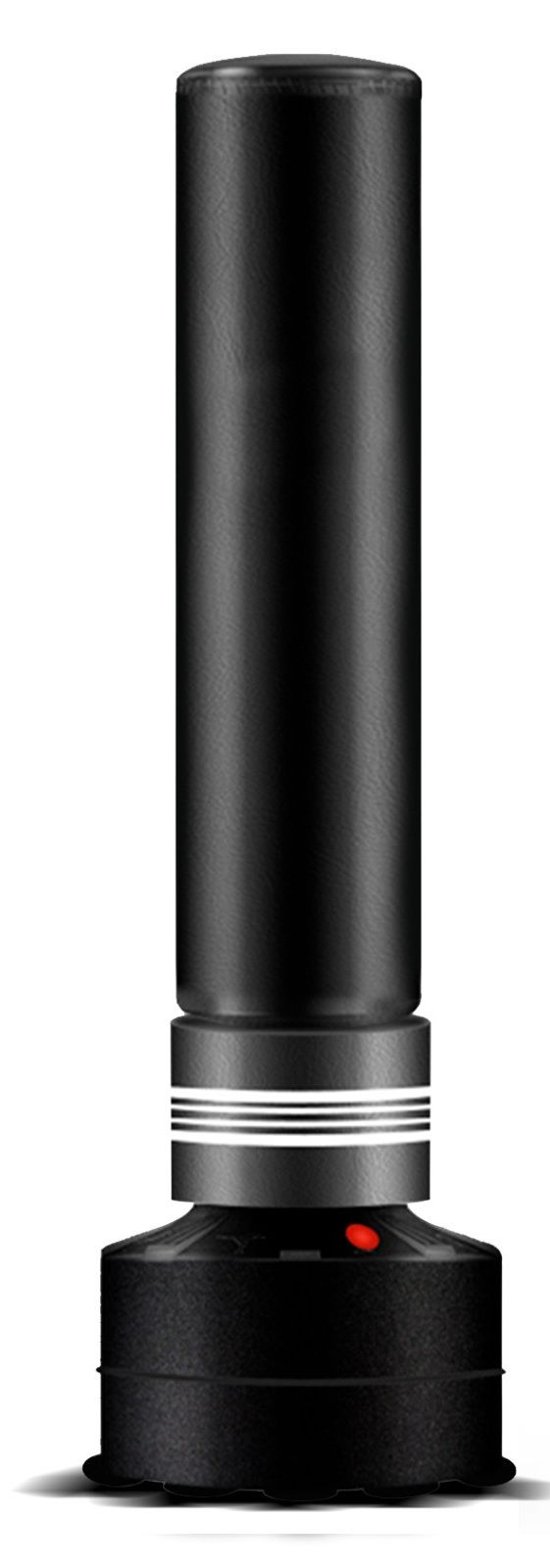 Boxing & Martial Arts: Standing Boxing Bag Punch Training for Adults Kids 170cm
