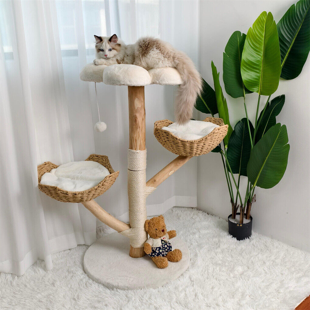 Cat Scratching Posts: Cat Tree Scratcher Plush Sisal Willow Wood w Basket Cushion